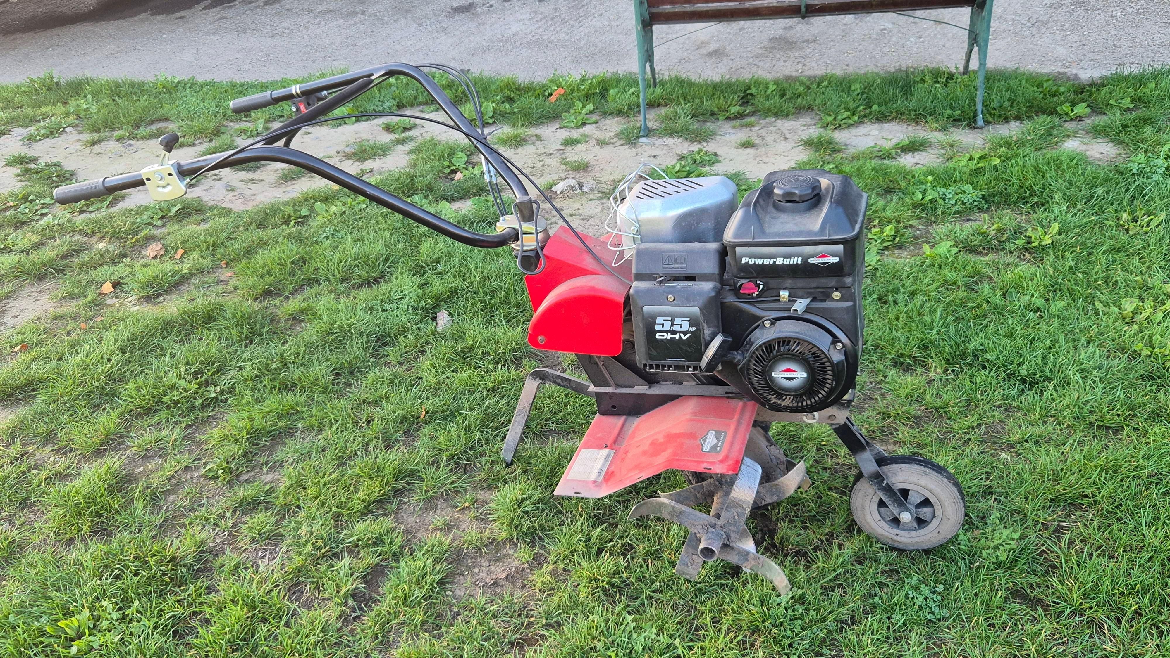 Lot 4-1 for Auction