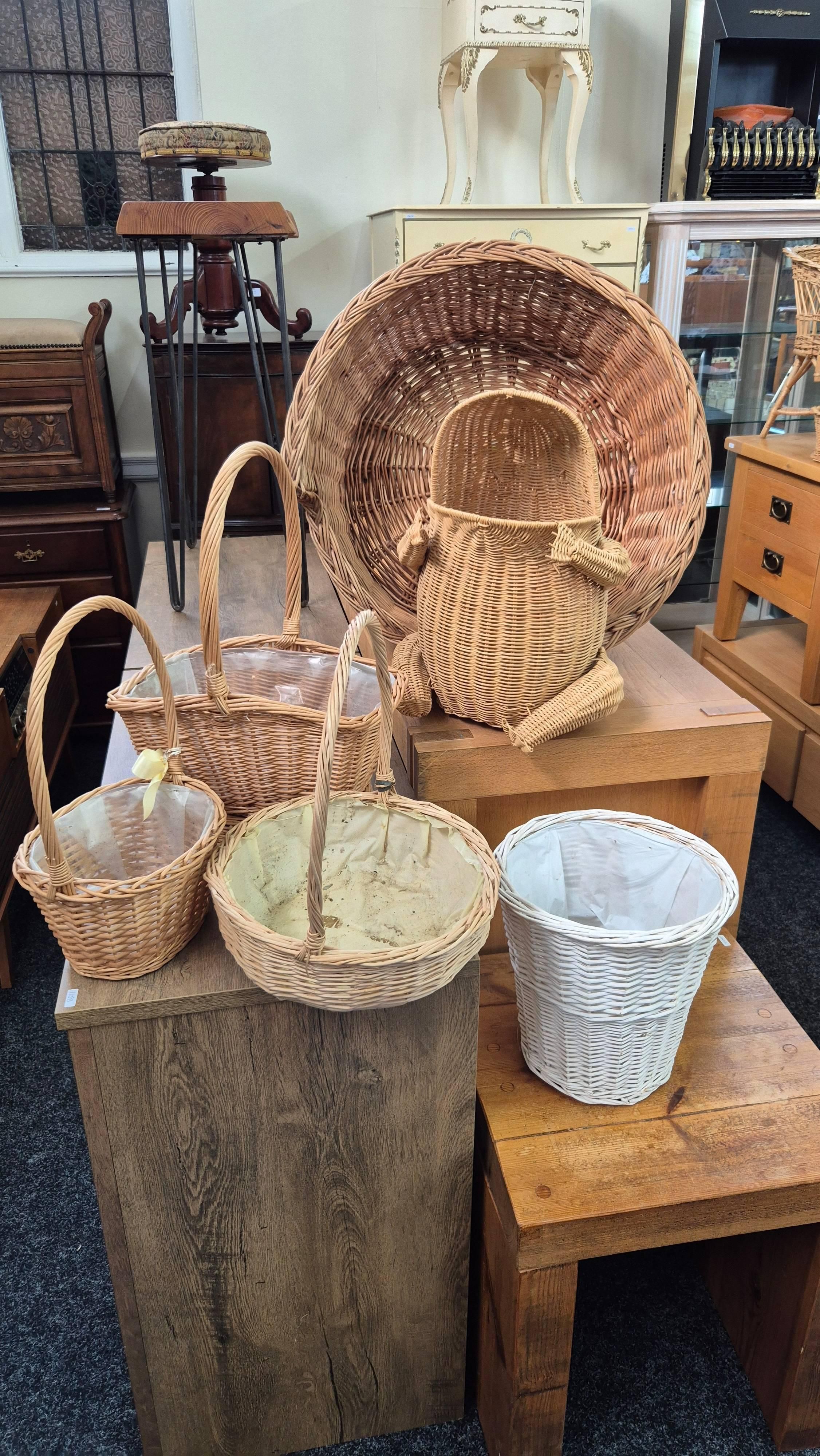 Lot 262-1 for Auction